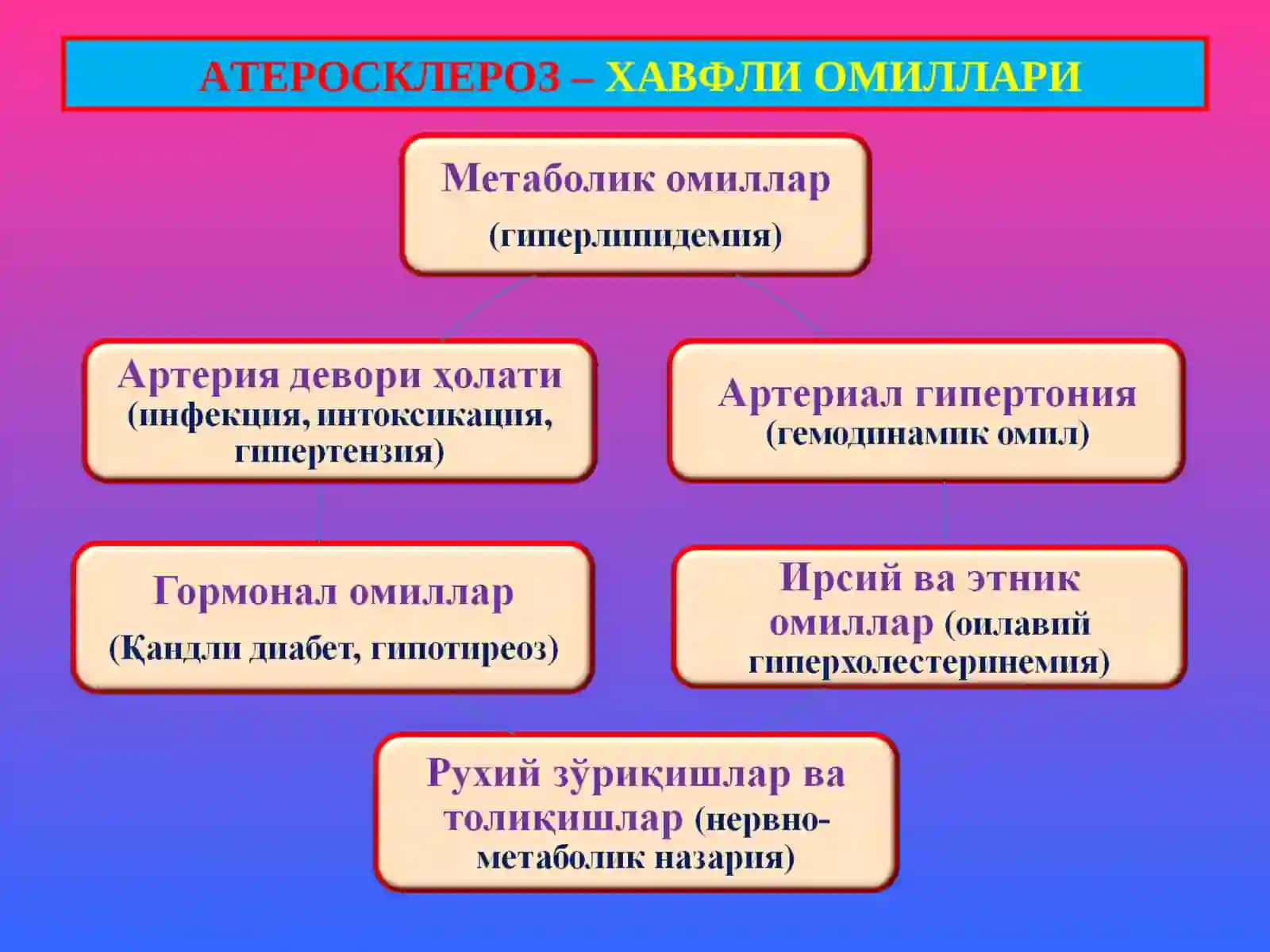 ПАТОЛОГИК АНАТОМИЯ 14- маъруза “Атеросклероз. Гипертония касаллиги” 3