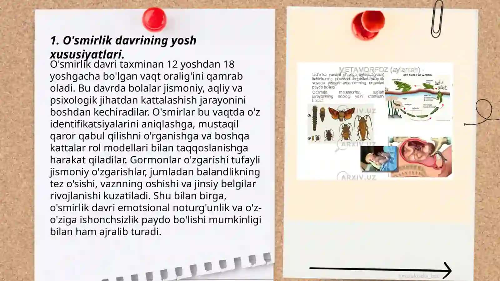 O‘smirlik davridagi psixik rivojlanishning umumiy tavsifi Umirqulova Sohiba 3