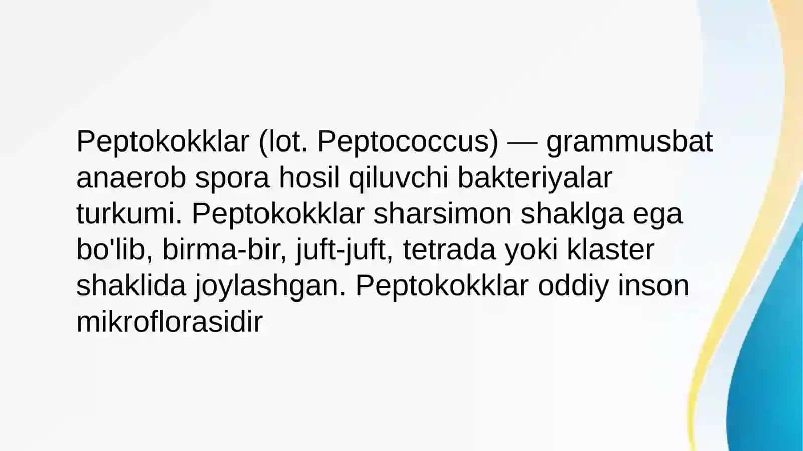 Shartli patogen anaerob kokklar (peptokokklar,peptostreptokokklar,veylonellalar) 3