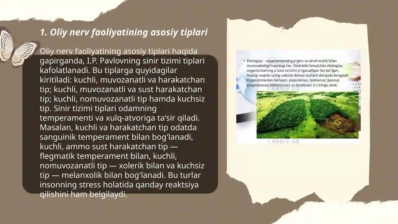 Oliy nerv faoliyatining tiplari 3