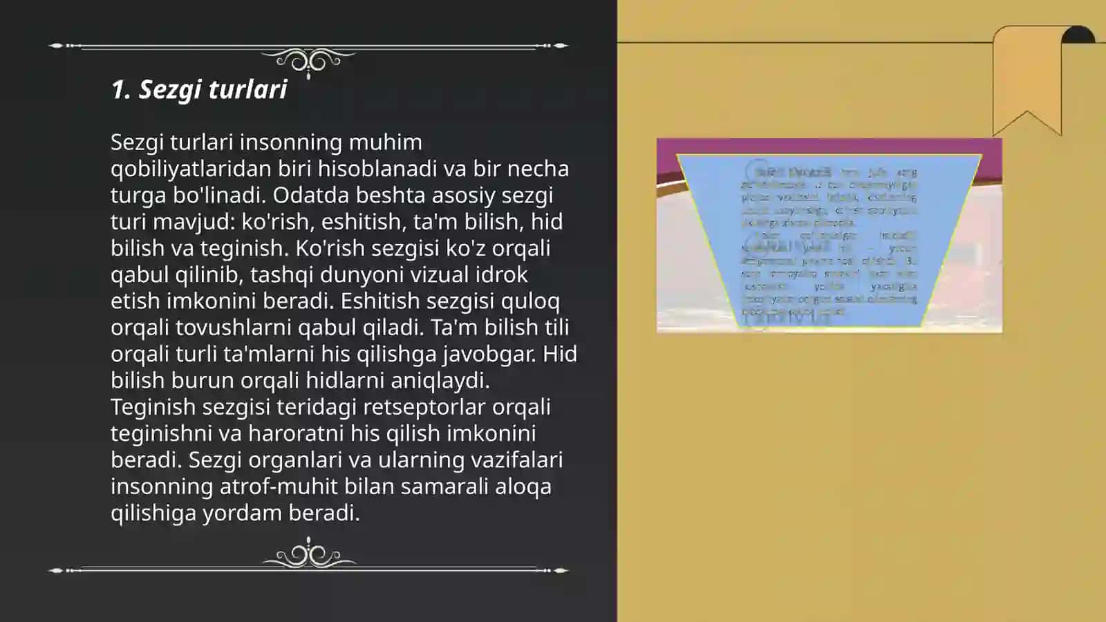 Sezgi turlari va uning psixofiziologik asoslari 3