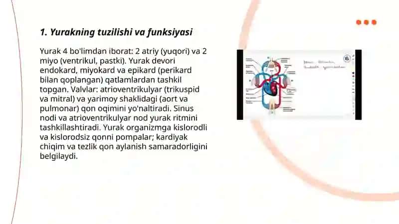 Qon aylanish tizimi 3