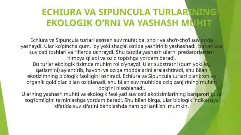 Echiura va Sipuncula turlarining ekologik o‘rni va yashash muhit 3