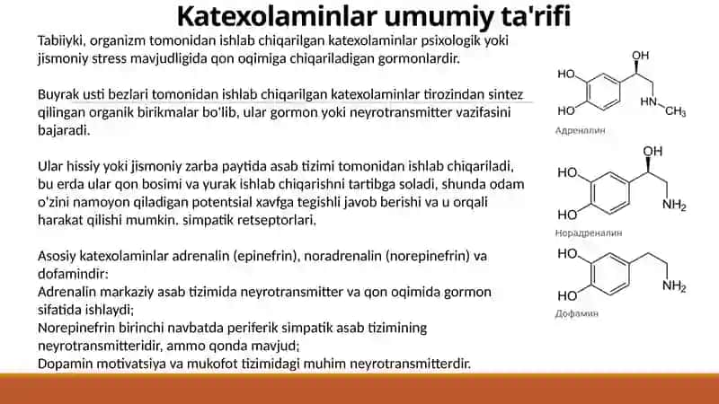 Katexolaminlar va glyukokortikoidlarning uglevodlar almashinuvi gata'siri 3