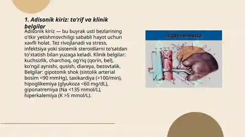 Adisonik kiriz 3