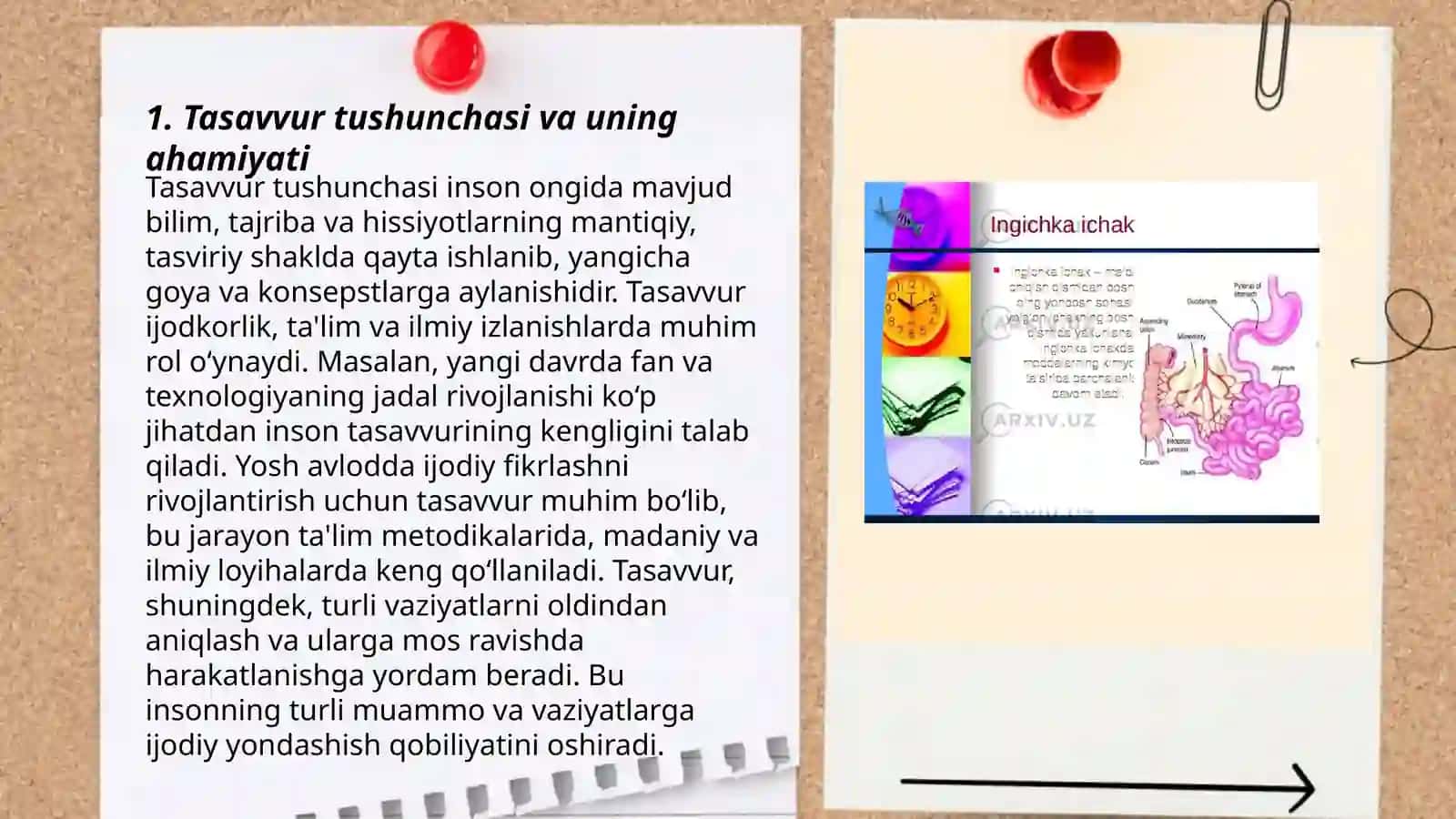Tasavvurning paydo bo'lishi fizologiyasi 3