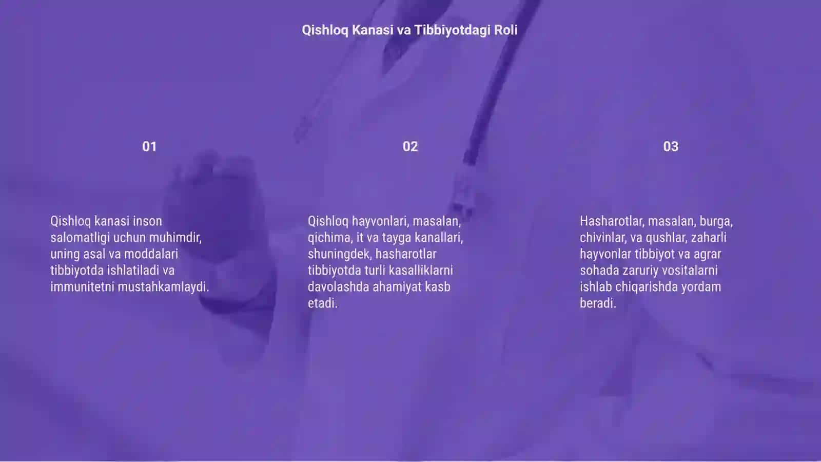 Qishloq Kanasi va Tibbiyotdagi Roli 3