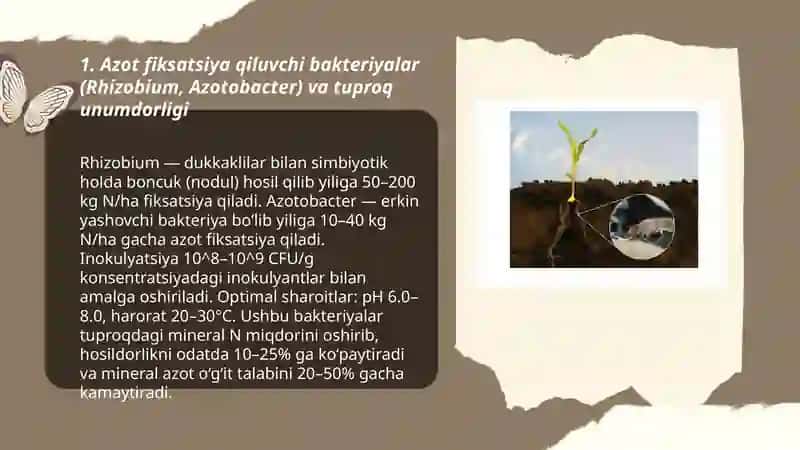 Tuproq unumdorligini oshirishda mikroorganizmlardan foydalanish 3