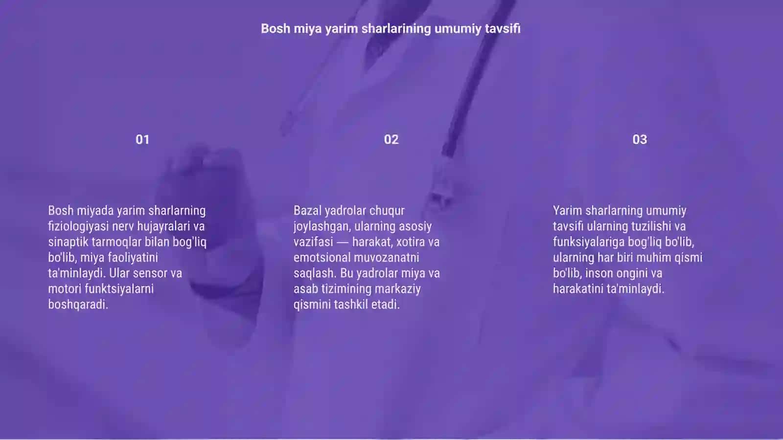 Bosh miya yarim sharlar po'stlog'ining fiziologiyasi 3
