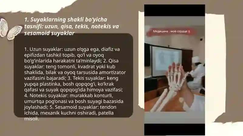 Suyaklarni tasnifi va tarifi 3