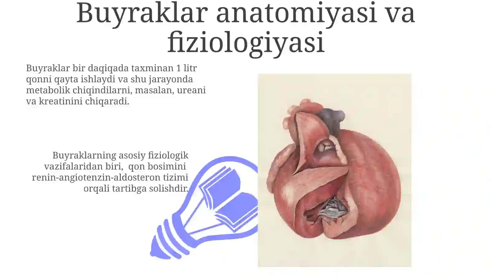 Bollarni ichki organizmlarni anatomik va fizioligik xususiyatlari 3