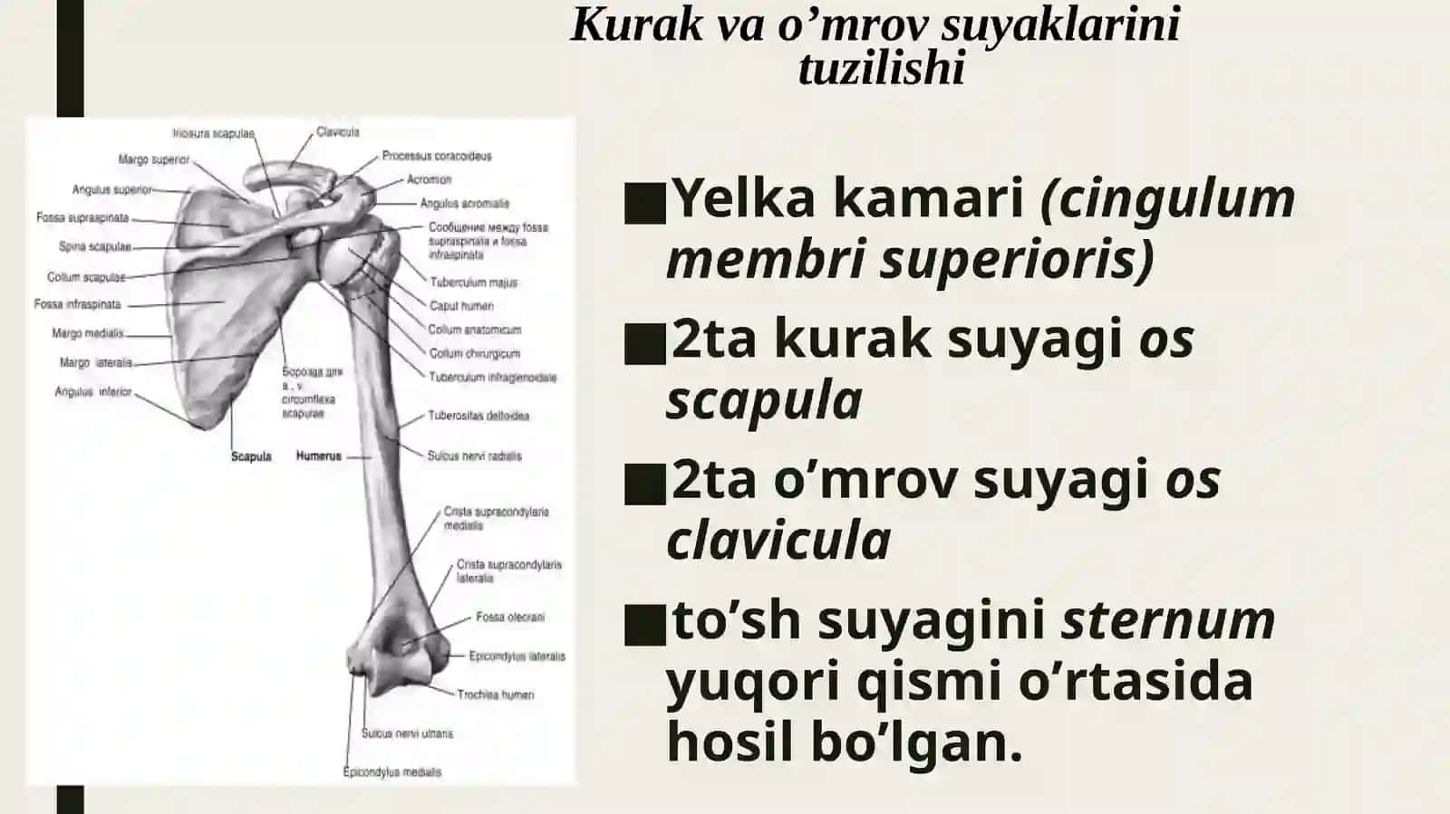 Tibbiy biologik fanlar kafedrasi 3