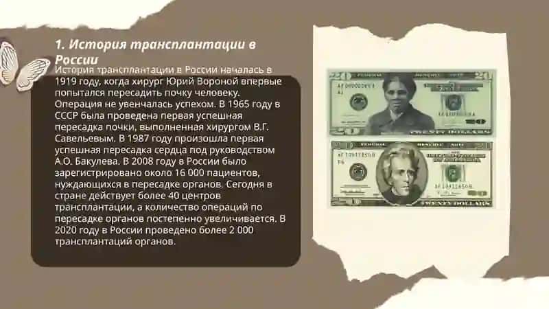 Развитие трансплантации на современном этапе 3