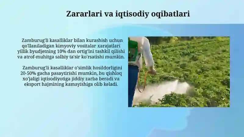 Qo'ziqorin kasalliklarining asosiy turlari va alomatlari 3
