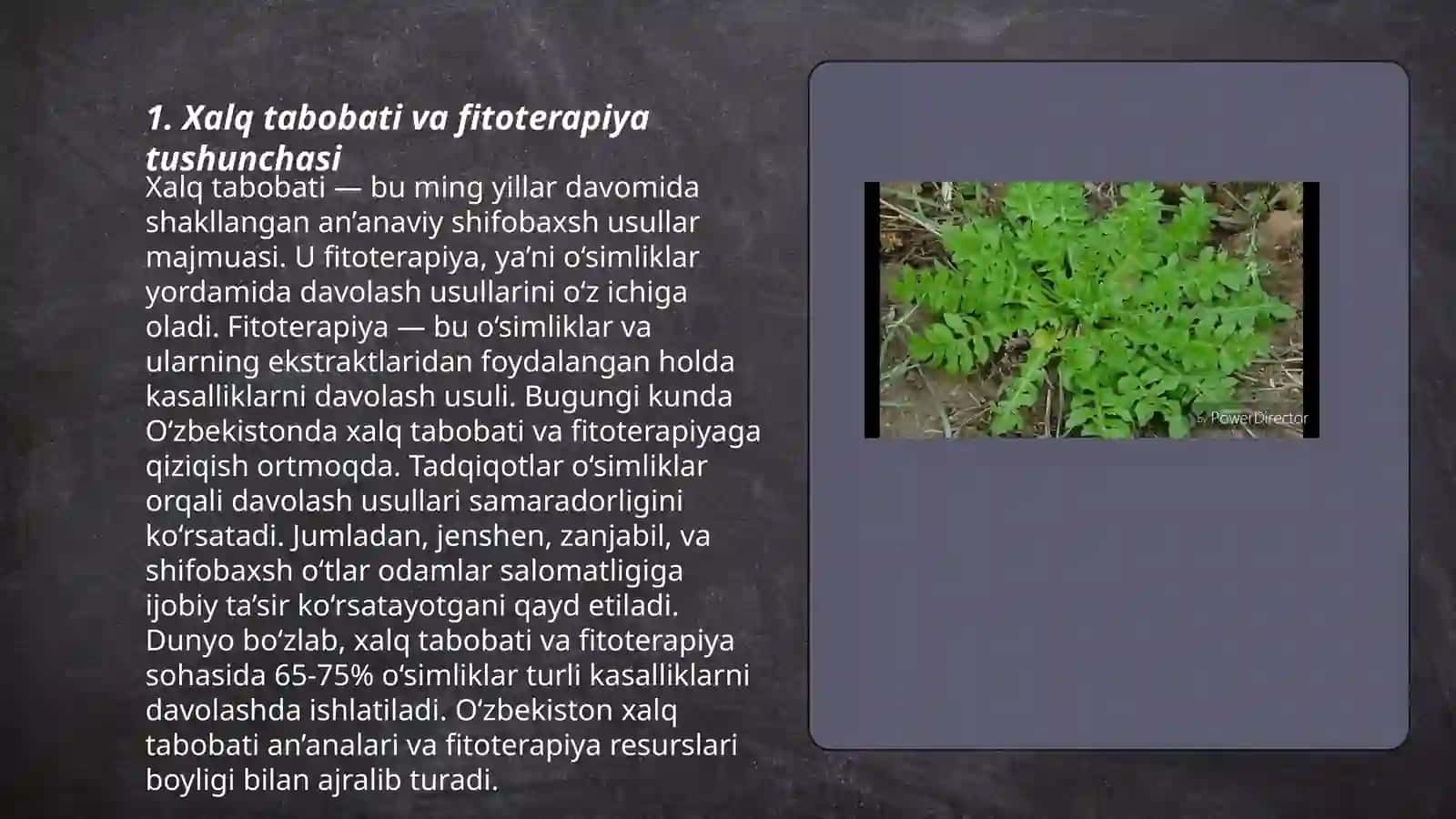 Xalq tabobatida fitoterapiyaning o'rni 3