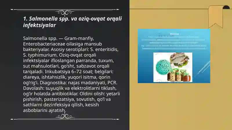 Salmonella spp. va oziq-ovqat orqali infektsiyalar 3
