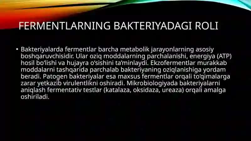 Bakteriyalarda fermentativ jarayonlar 3