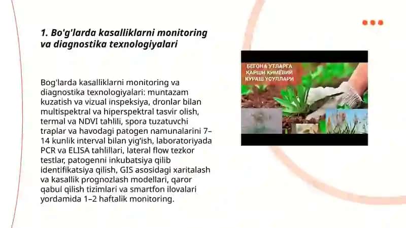 Boģlarda kasalliklarga qarshi kurash texnologiyasi 3