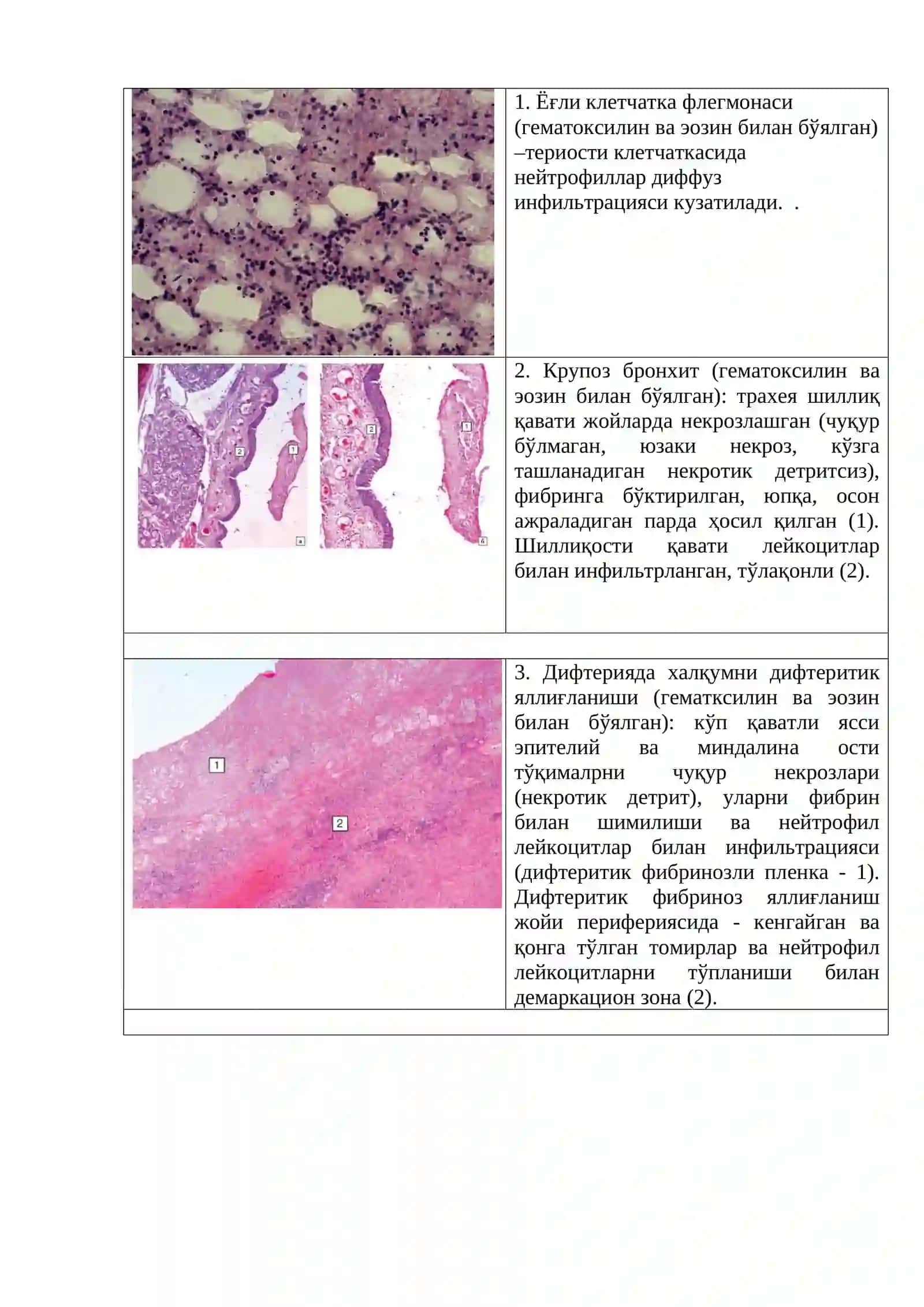 Мавзунинг руҳлантирувчи таснифи 3