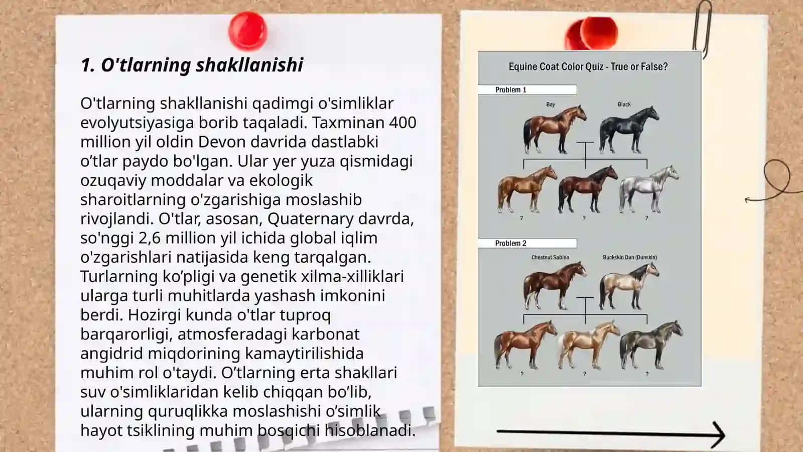 Otlarning yasalishi, tuzilishi jihatdan turlari 3