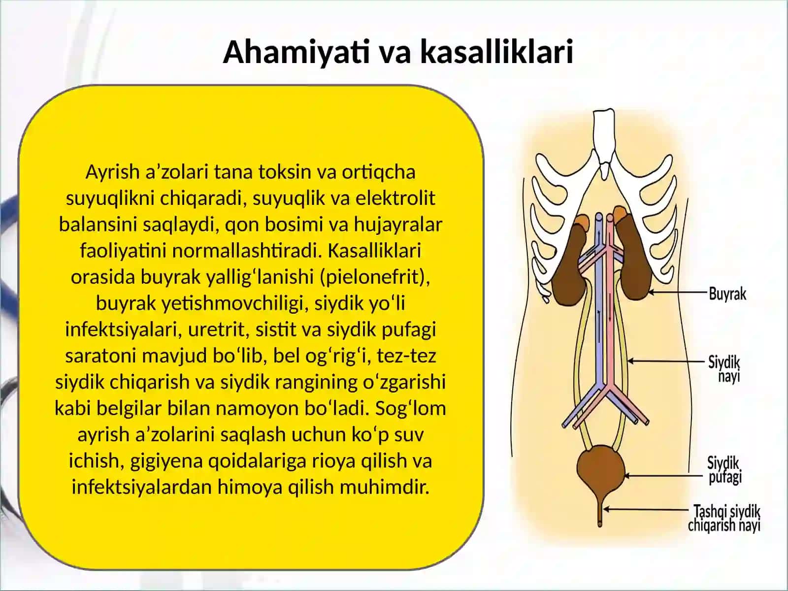 Ayrish a'zolari kasaliklari 3