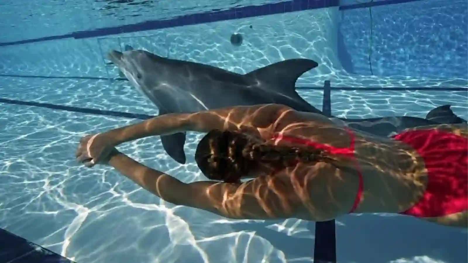 Robot delfini 3