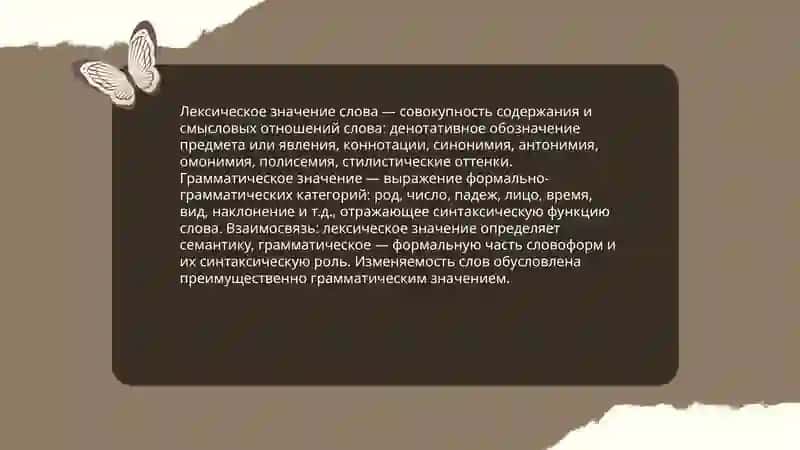Признаки и функции слова 3