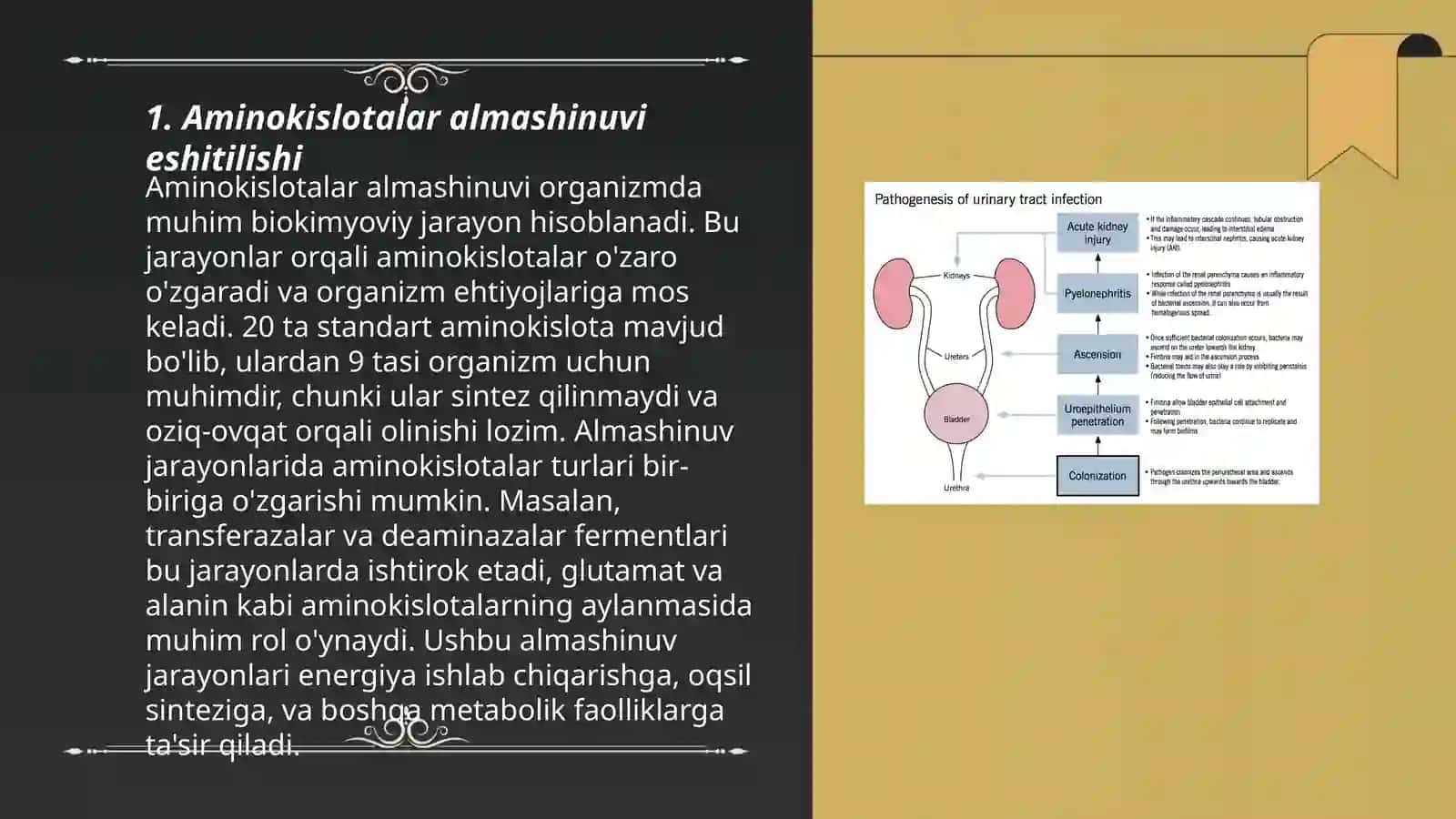 Aminokislatar almashinuvinig buzulishi-etio-patogenezi morfologiyasi 3