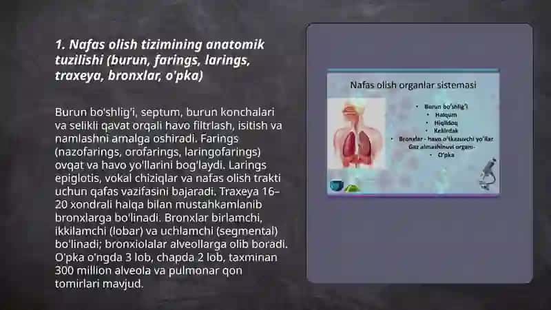 Nafas olish tizimining normal funksiyasi va inson salomatligi 3