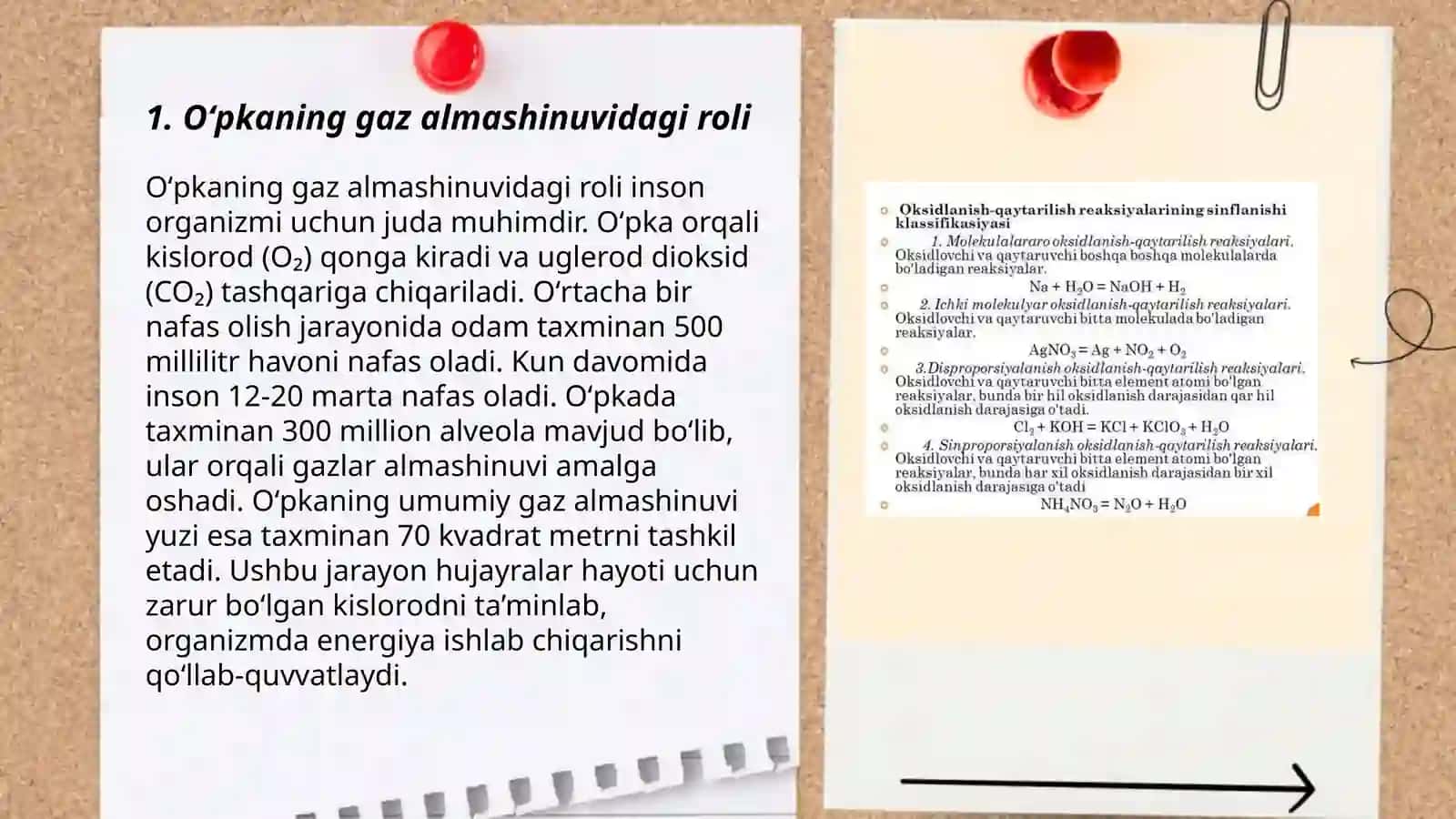 Oʻpkaning metabolik funksiyalari va ularning buzilishlari 3
