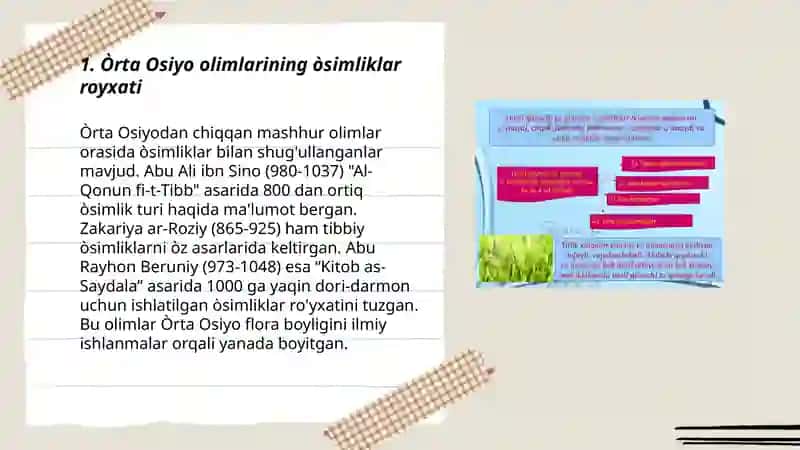 Òrta Osiyo olimlarining òsimliklar haqidagi fikrlari 3