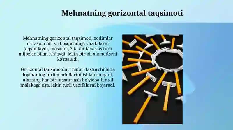 Mehnatni gorizantal va vertikal taqsimlanishi 3