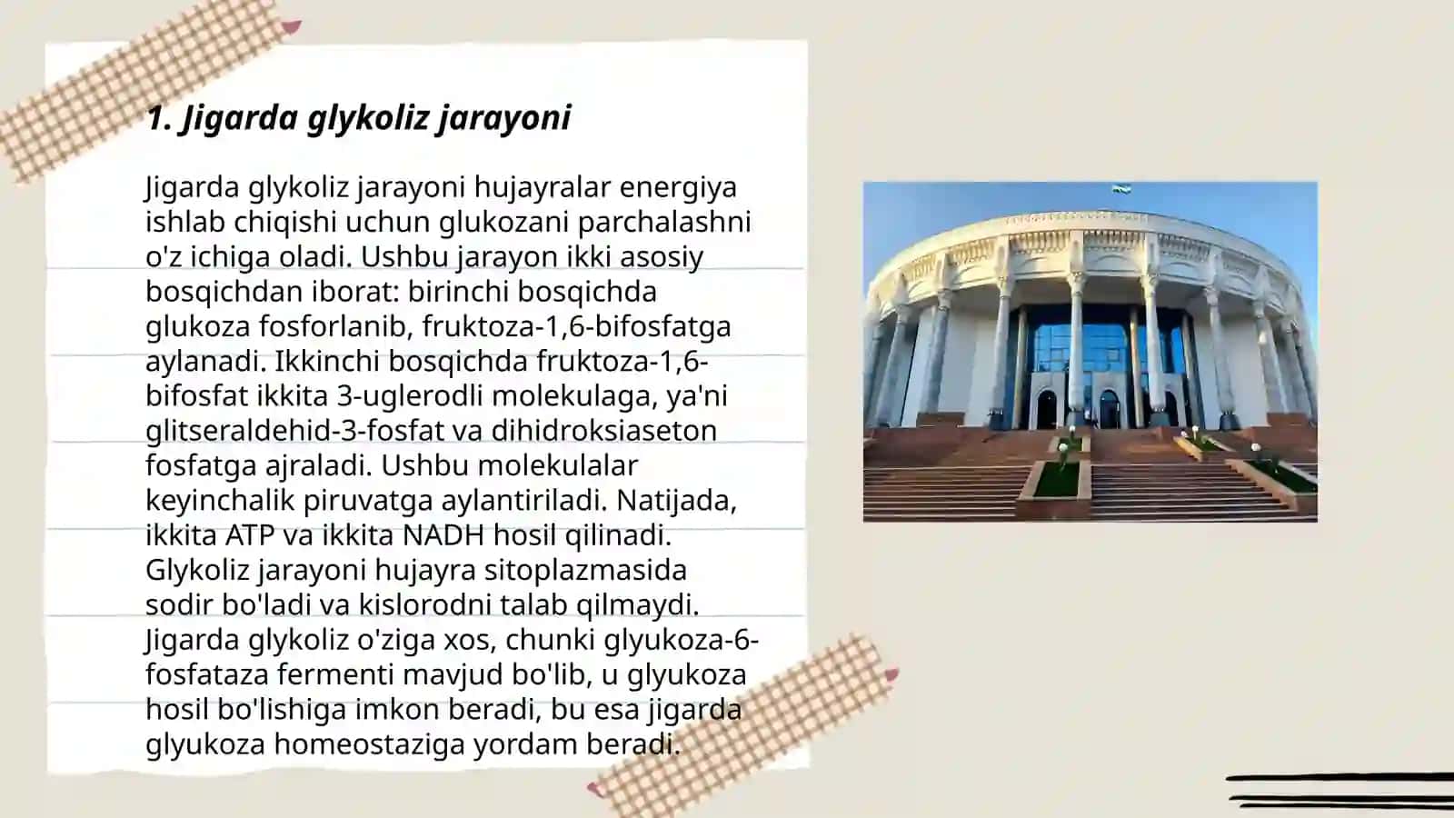Jigarda glikoliz va glikoneogenezni boshqarilishi 3
