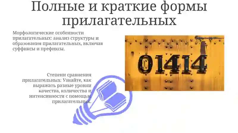 Прилагательные: Основные понятия 3