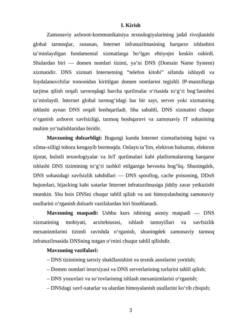 DNS XIZMATI 3