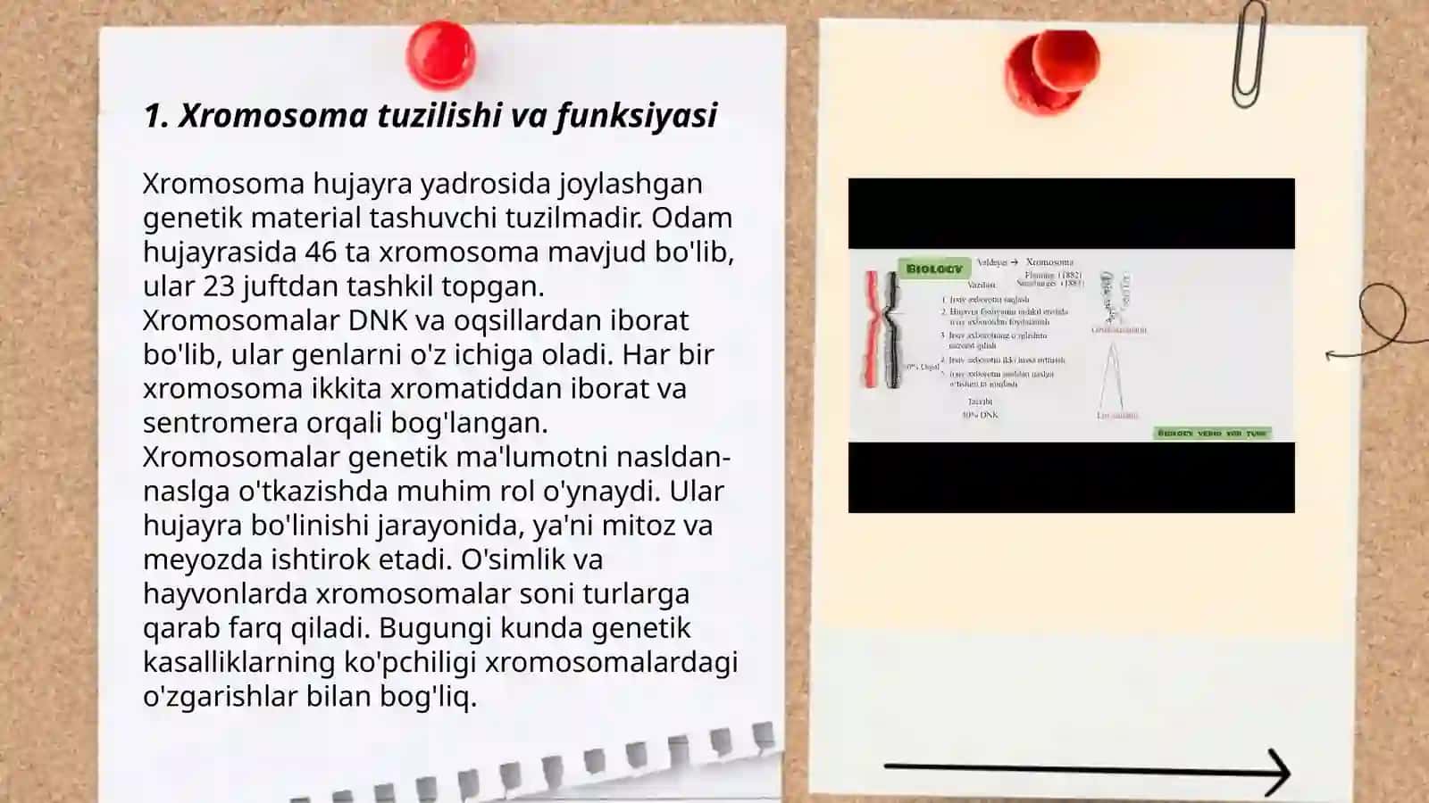 Xromosoma abberatsiyalari yoki qayta tuzilishlari 3