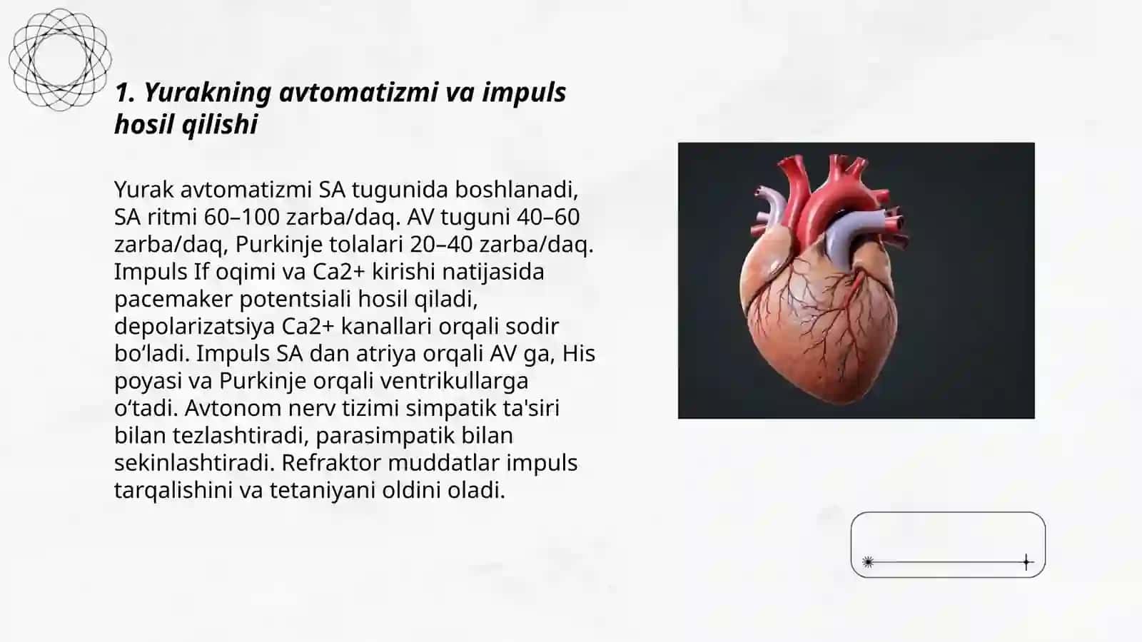 Yurak faoliyatini fiziologik xususiyatlari 3