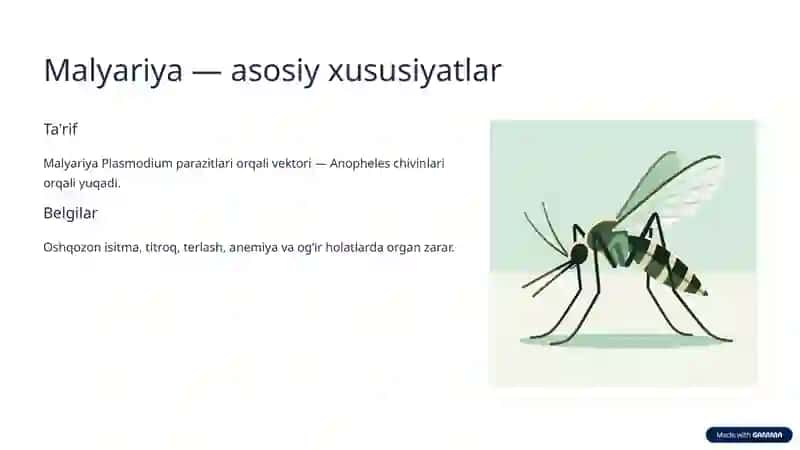 Parazitar va zamburug' infeksiyalari 3