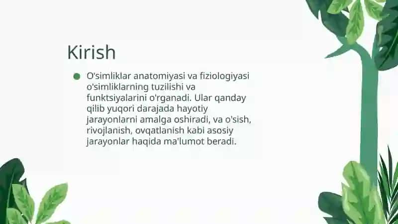 O'simliklar anatomiyasi va fiziologiyasi 3