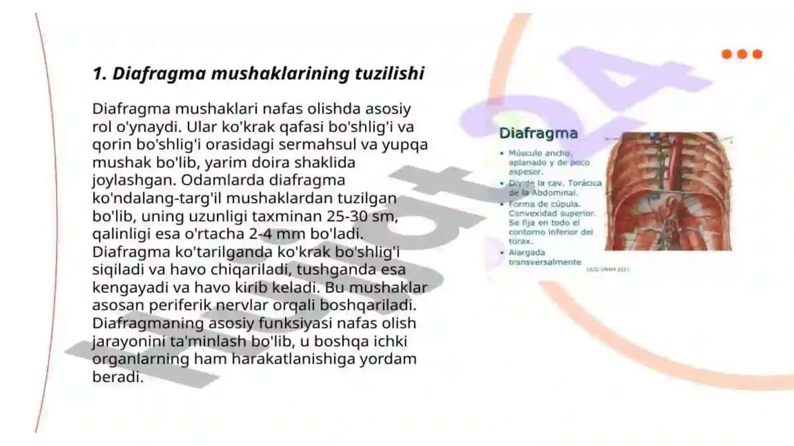 Diafragma mushaklari fiziologiyasi 3