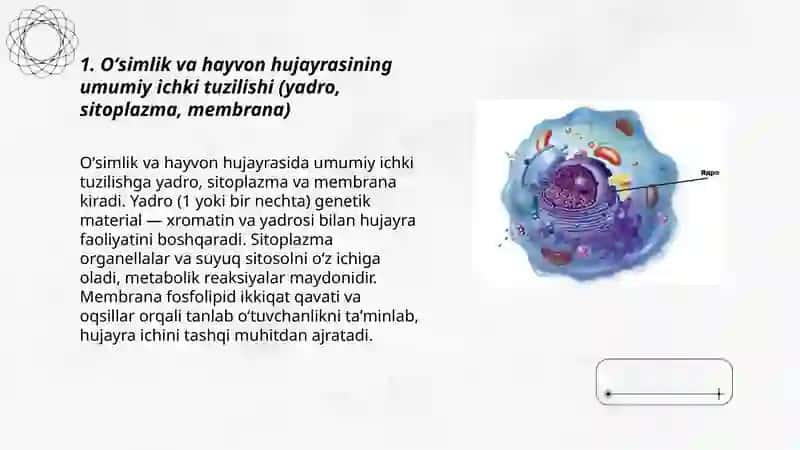 Oʻsimlik va hayvon hujayrasi óxshashligi va farqi 3