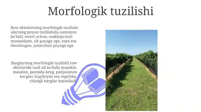 Polizekinlarining morfologik va biologik xususiyatlari 3