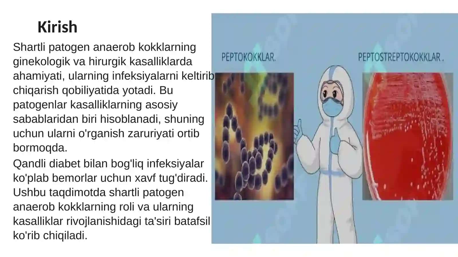 Shartli patogen anaerob kokklarni (peptokkoklar, peptostreptokokklar, veylonellalar) hirurgik va ginekologik kasalliklardagi ahamiyati. Qandli diabetda uchraydigan infeksiyalar, patogenez va laboratoriya tashhisi 3