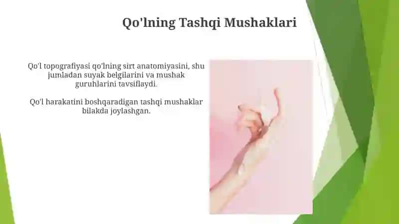 Qo'l fassiyalari va qo'l topografiyasi 3