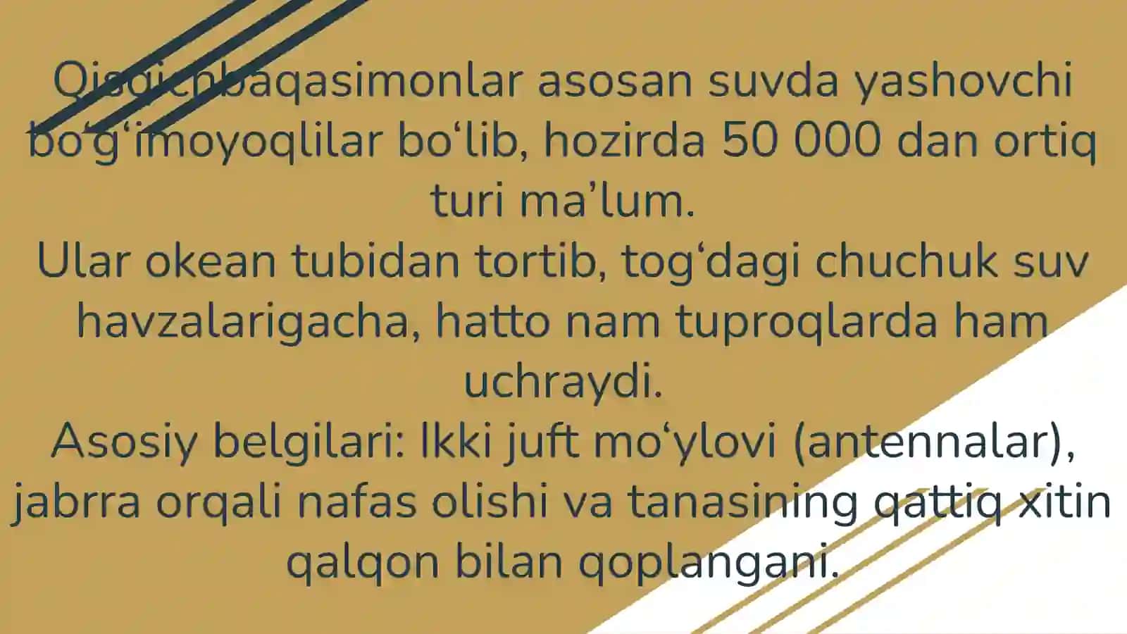 Qisqichbaqasimonlar sinifi tavsifi, asosiy vakillari axamiyati 3