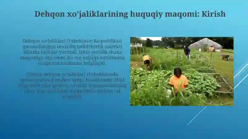 Dehqon xoʻjaliklarining huquqiy holati 3