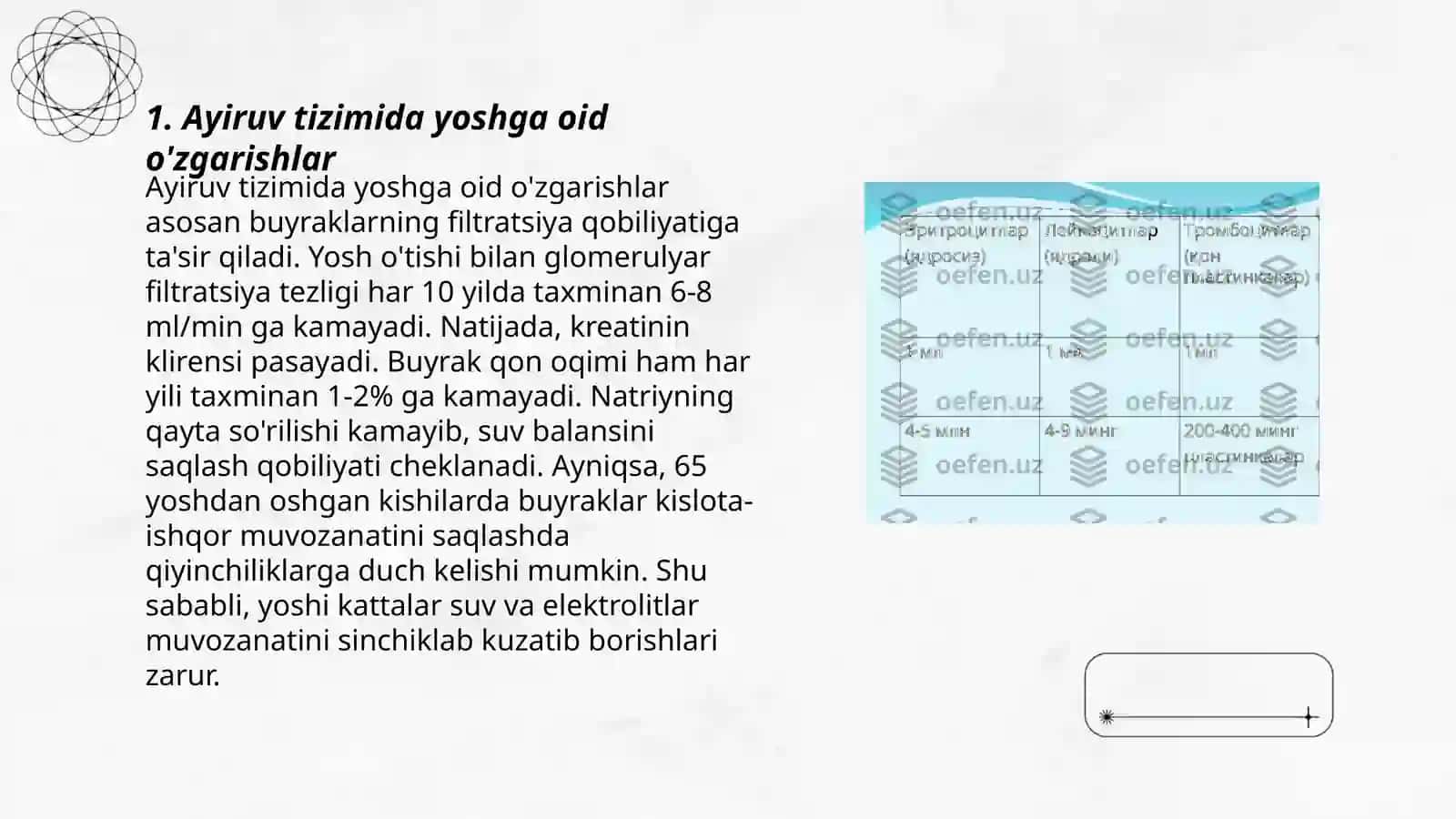 Ayiruv tizimining yoshga oid fiziologiyasi va gigeyenasini oʻrganish 3