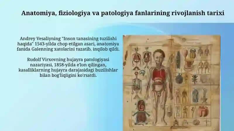 Inson anatomiyasi, fiziologiyasi va patologiyasining rivojlanish tarixi 3