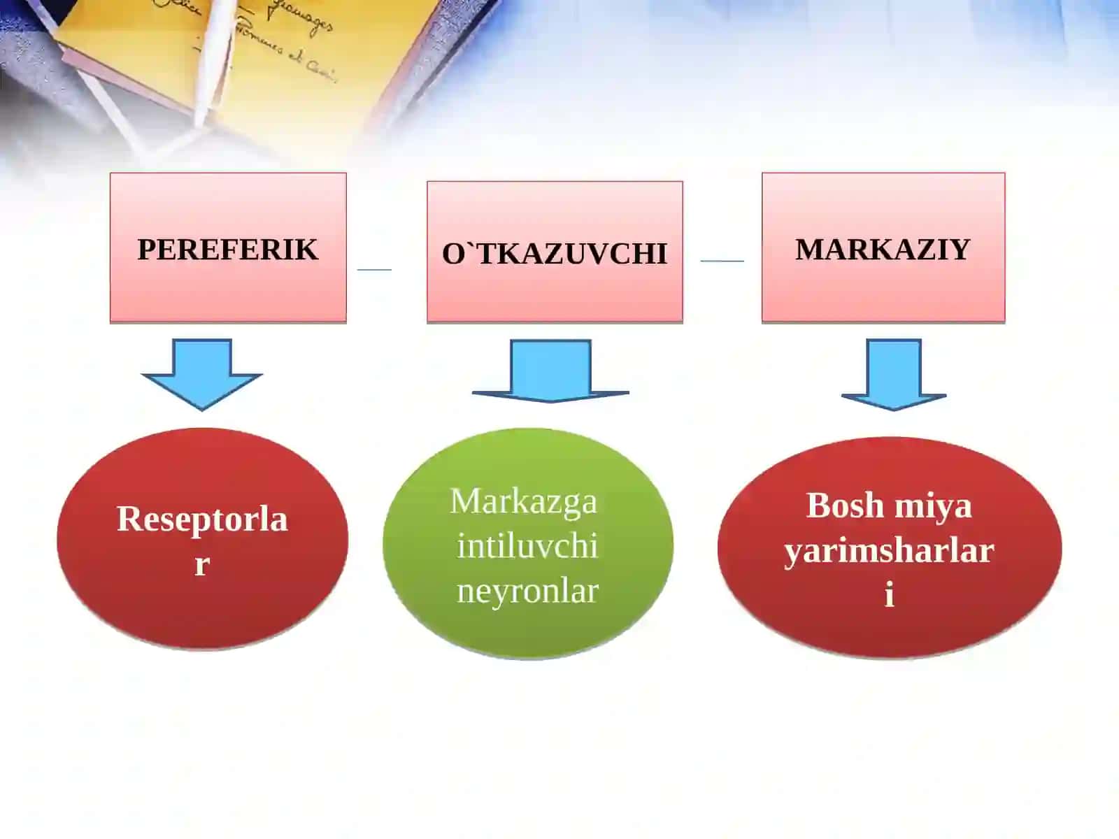 Analizatorlarning yoshga xosxususiyatlari vagigiyenasi 3