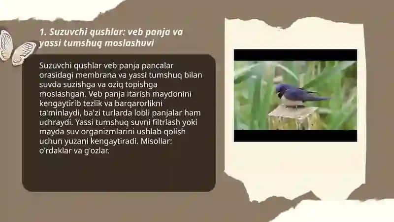 Qushlarning yashash muhitiga qarab oyoq, oyoq panja, tumshuq xilma xilliklari 3
